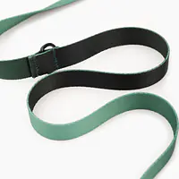 City leash "Under my ombrella" green  - Master