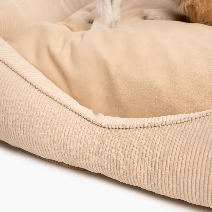 Kanapa sztruksowa "Pies on the beach" - Master