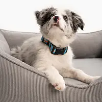 Kanapa sztruksowa "Zrobiony na szaro" - Master