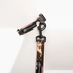 WYPRZEDAŻ Obroża dla psa lub kota "Dobry, taki nie za słodki" - Master