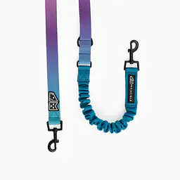 Adjustable leash with shock absorber "Under my umbrella" turquoise  - Master