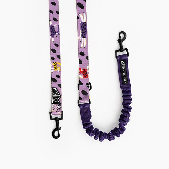 "Doggo in sheep's clothing" leash with a shock absorber