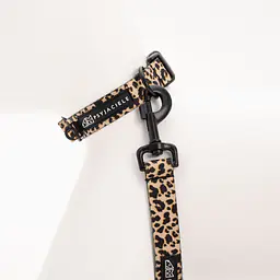 Dog or cat collar "Respect the wildness" LEOPARD PATTERN ON THE TOP - Master