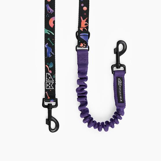 "Psychedelic" leash with a shock absorber
