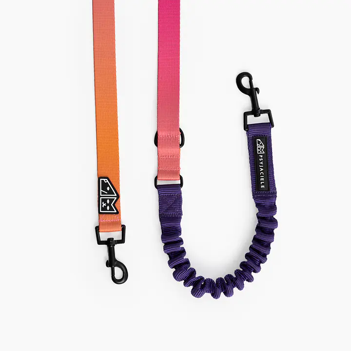 Adjustable leash with shock absorber "Under my ombrella" orange  - Master
