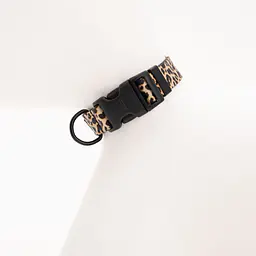 Dog or cat collar "Respect the wildness" LEOPARD PATTERN ON THE TOP - Master