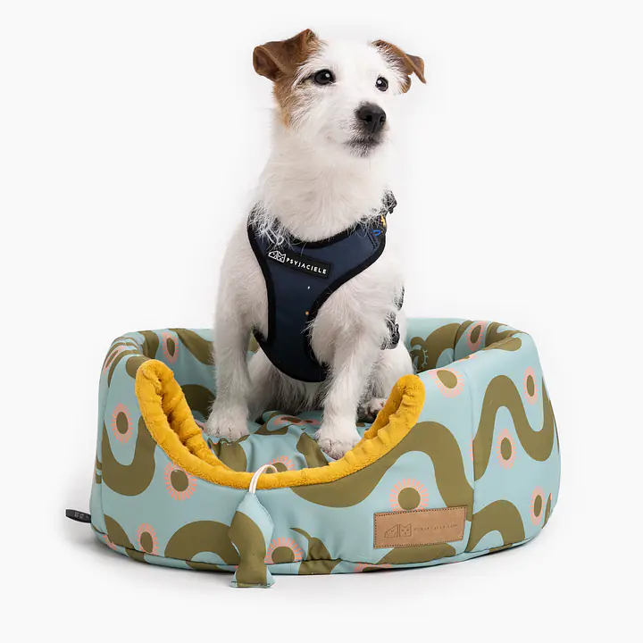 2-in-1 House and sofa for your dog or cat - pattern: Sausage dog, Size: S