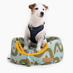 2-in-1 House and sofa for your dog or cat - pattern: Sausage dog, Size: S
