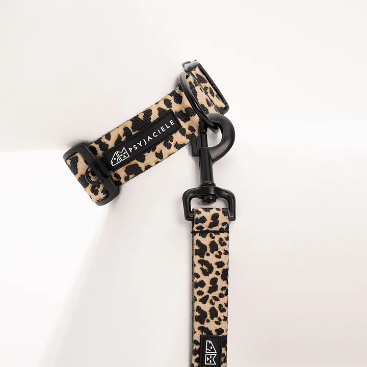 Dog or cat collar "Respect the wildness" LEOPARD PATTERN ON THE TOP - Master