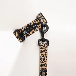 Dog or cat collar "Respect the wildness" LEOPARD PATTERN ON THE TOP - Master