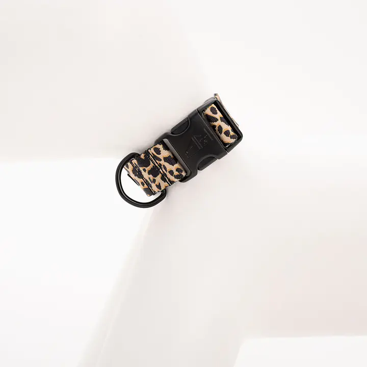 Dog or cat collar "Respect the wildness" LEOPARD PATTERN ON THE TOP - Master