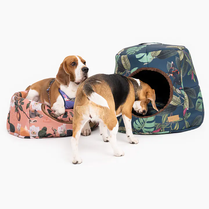 COPY OF 2-in-1 House and sofa for your dog or cat - pattern: Doggolage, Size: S