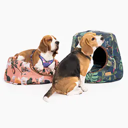 COPY OF 2-in-1 House and sofa for your dog or cat - pattern: Doggolage, Size: S