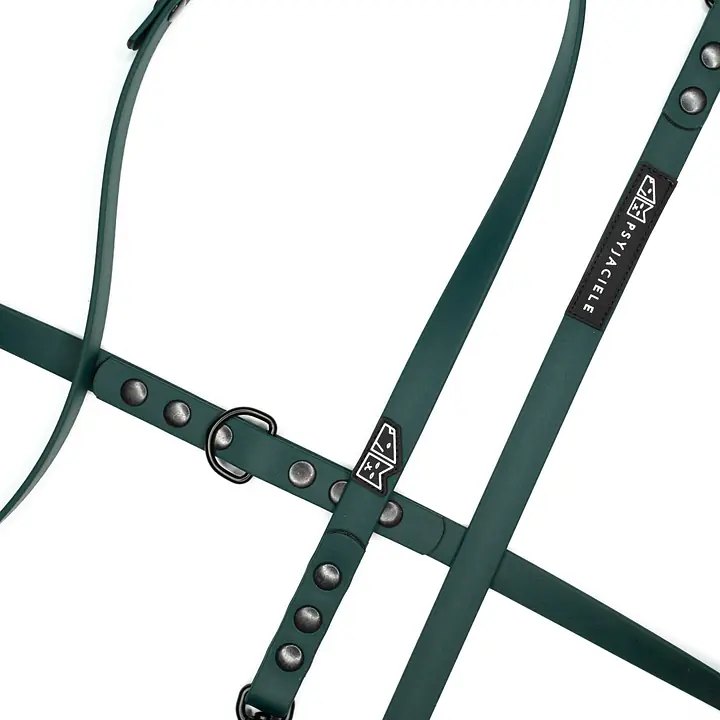 "Green AF" Biothane® leash - Master