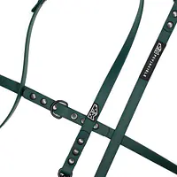 Smycz przepinana Biothane® dla psa lub kota "Green AF" - Master