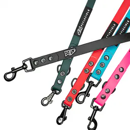 Smycz przepinana Biothane® dla psa lub kota "Green AF" - Master