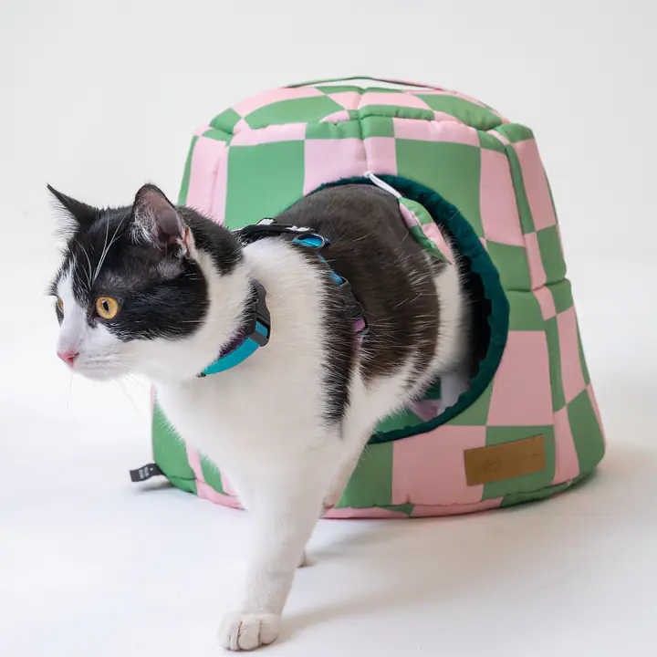 2-in-1 House and sofa for your dog or cat - pattern: World behind the bars, Size: M