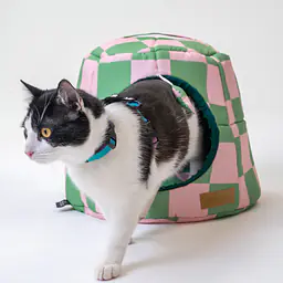 2-in-1 House and sofa for your dog or cat - pattern: World behind the bars, Size: M