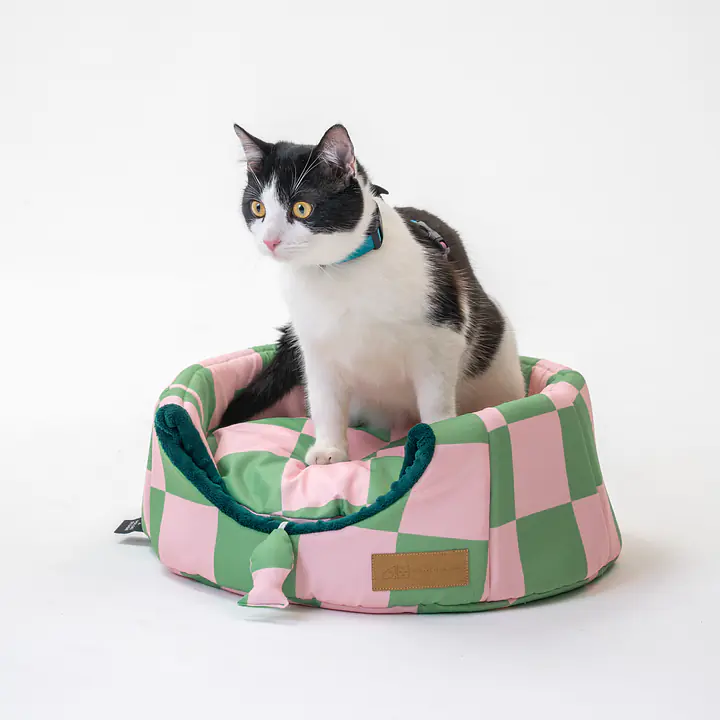 2-in-1 House and sofa for your dog or cat - pattern: World behind the bars, Size: M