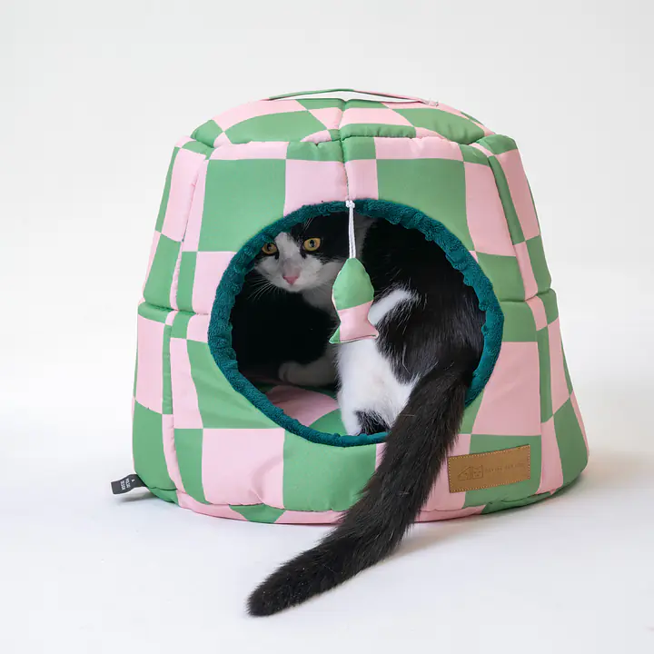 2-in-1 House and sofa for your dog or cat - pattern: World behind the bars, Size: M