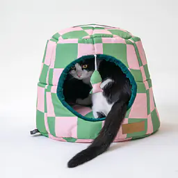 2-in-1 House and sofa for your dog or cat - pattern: World behind the bars, Size: M