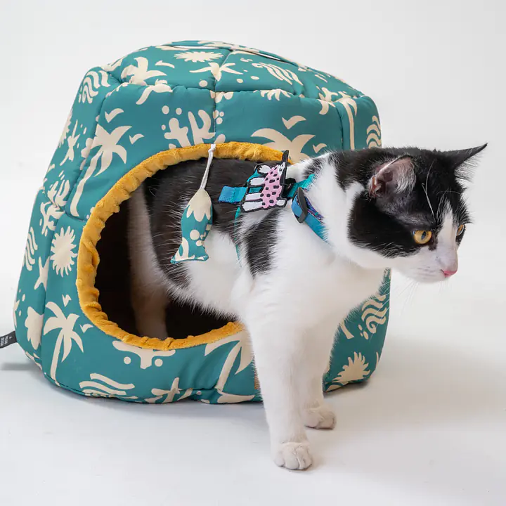 2-in-1 House and sofa for your dog or cat - pattern: Beach please, Size: M