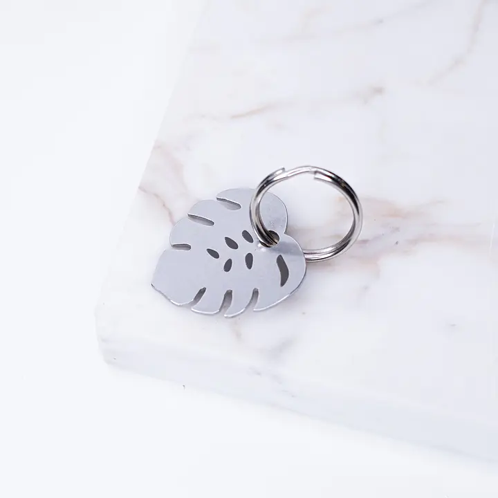 ID tag for dog MONSTERA - Master