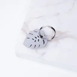 ID tag for dog MONSTERA - Master