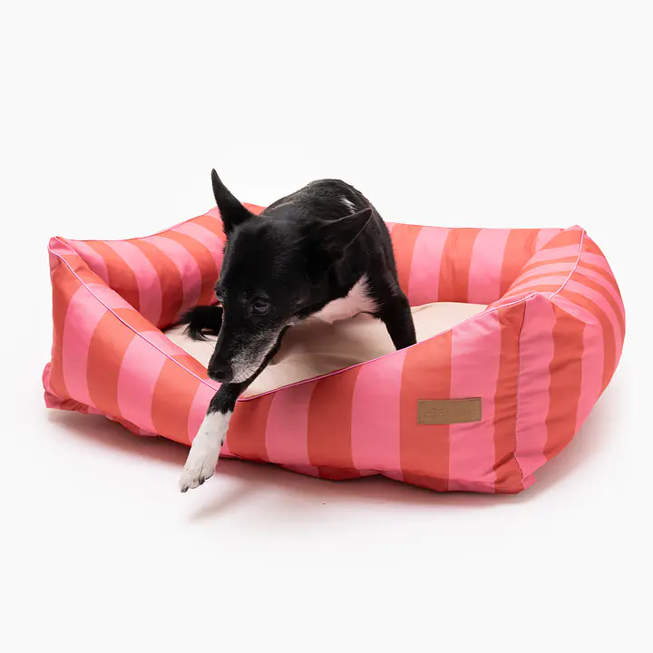 COPY OF Sofa for dogs or cats - pattern: Best with cream, Size: S