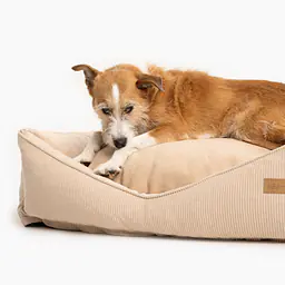 Sofa for dogs or cats - pattern: Dog on the beach, Size: M