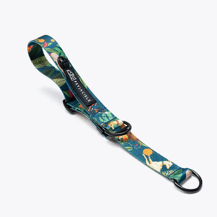 Dog or cat collar "Dogollage" - Master