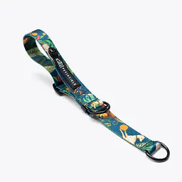 Dog or cat collar "Dogollage" - Master