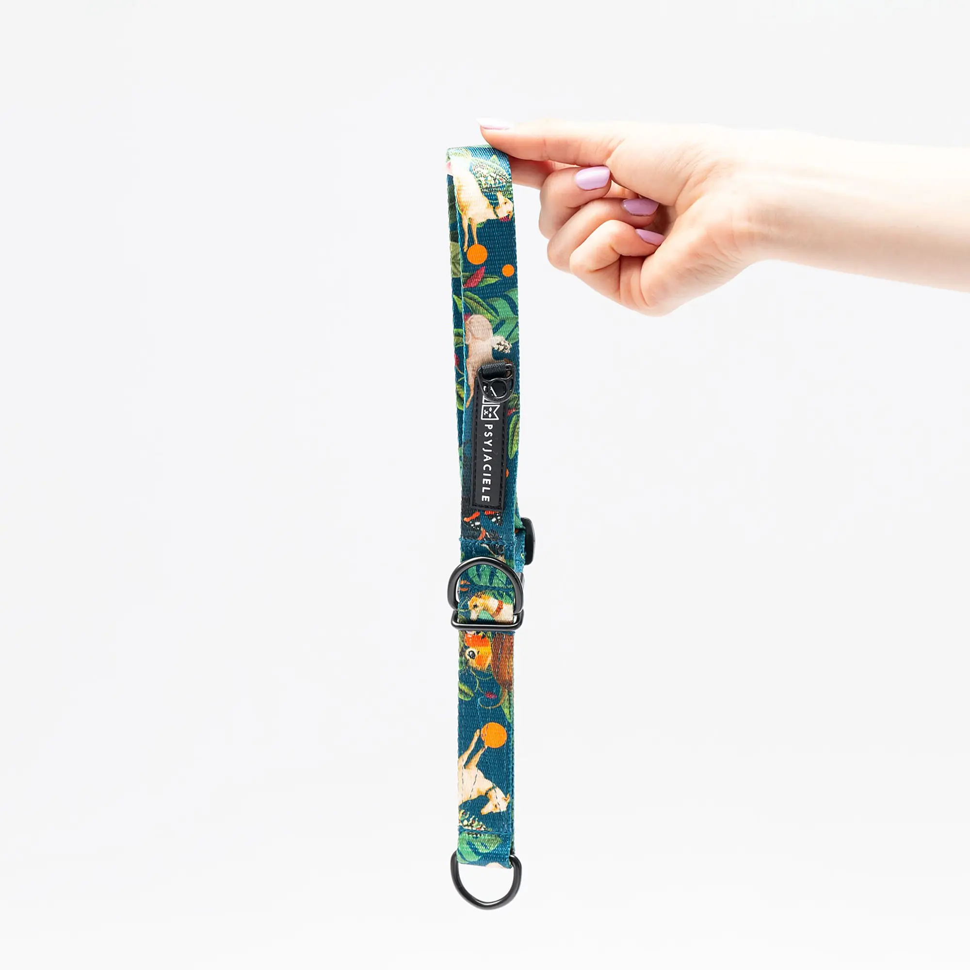 Dog or cat collar "Dogollage" - Master