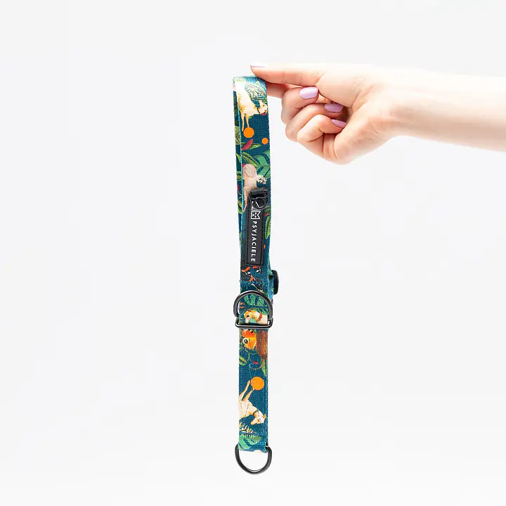 Dog or cat collar "Dogollage" - Master