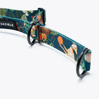 Dog or cat collar "Dogollage" - Master