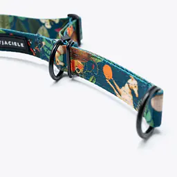 Dog or cat collar "Dogollage" - Master