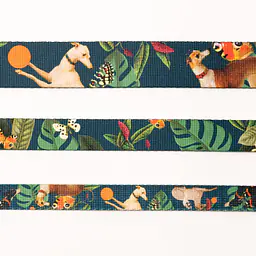 Dog or cat collar "Dogollage" - Master