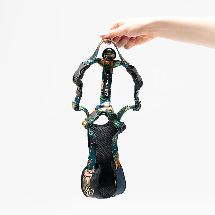 "Dogollage" full pressure-free harness - Master