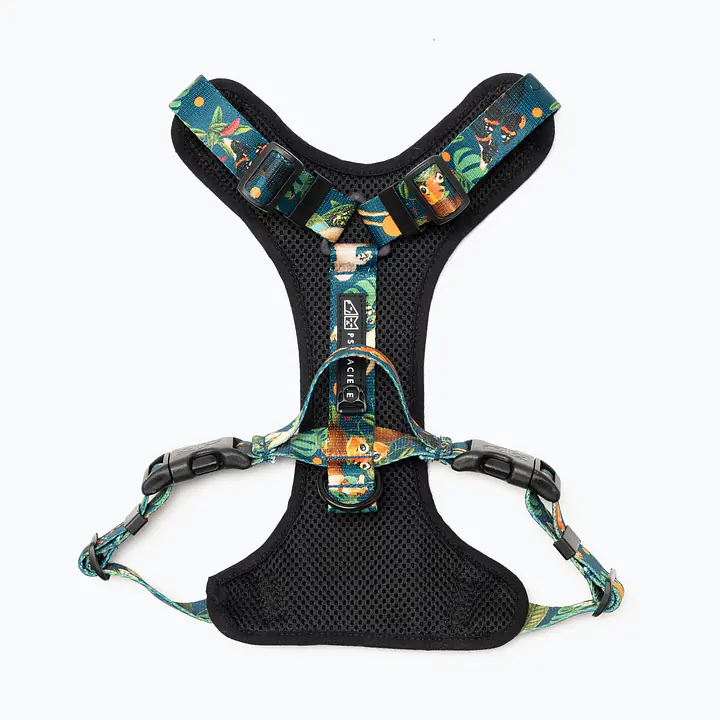 "Dogollage" full pressure-free harness - Master