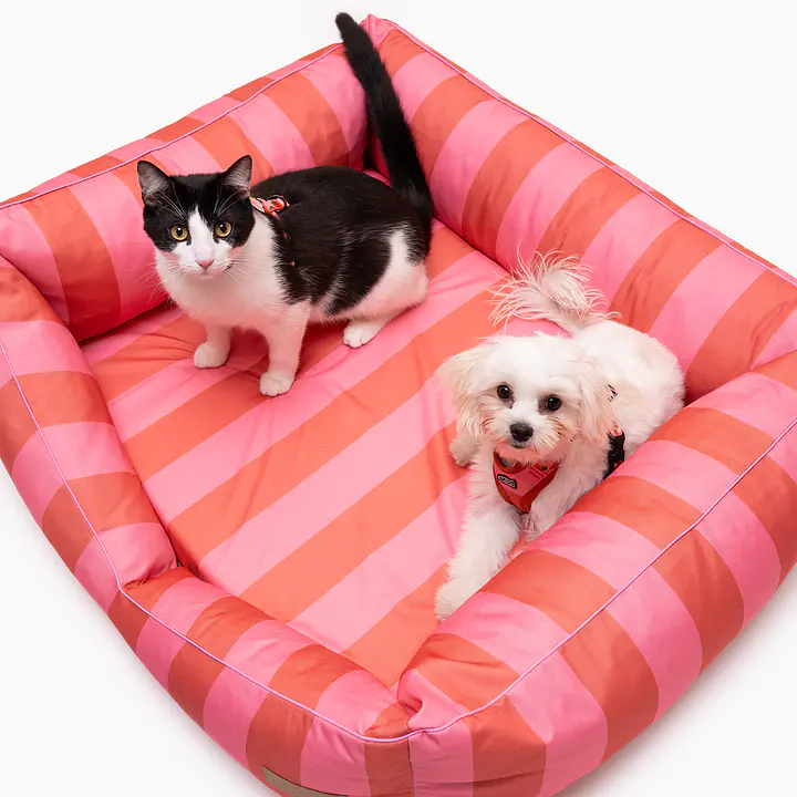 Ortopedic sofa for dogs or cats - Master