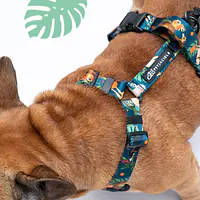 "Dogollage" full pressure-free harness - Master