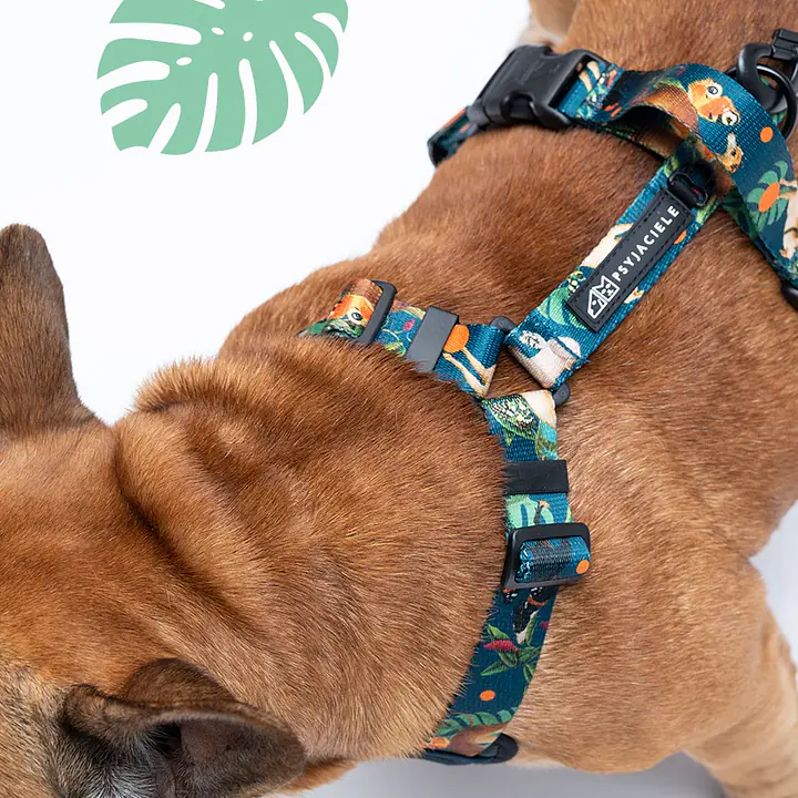 "Dogollage" full pressure-free harness - Master