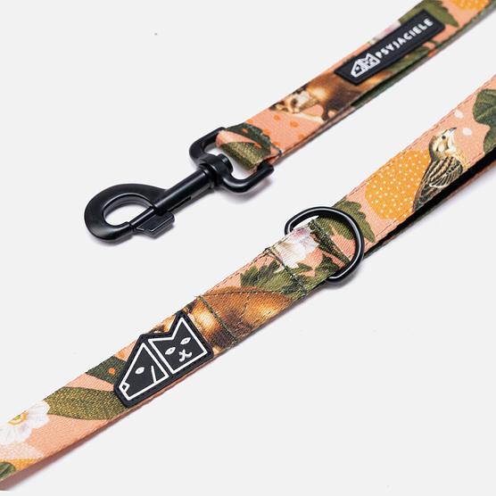 City leash "Play with my nuts"