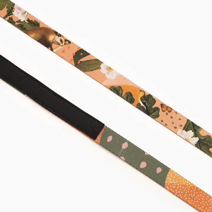 City leash "Play with my nuts"  - Master