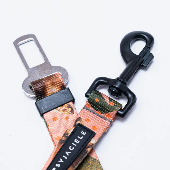 Pasy samochodowe "Wie wiórka co dobre" - Master