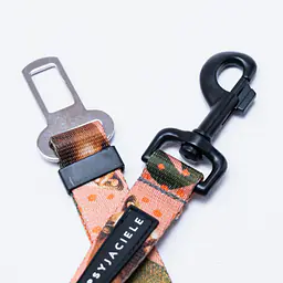 Car belt "Play with my nuts"  - Master