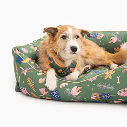 COPY OF Sofa for dogs or cats - Master