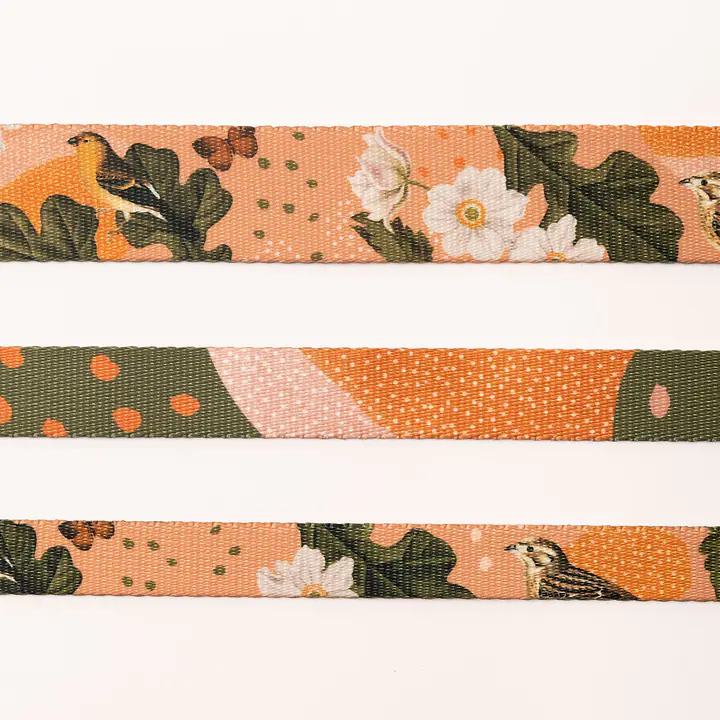 Dog or cat collar "Play with my nuts" - Master