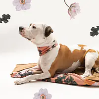 Mat "Play with my nuts" - Master