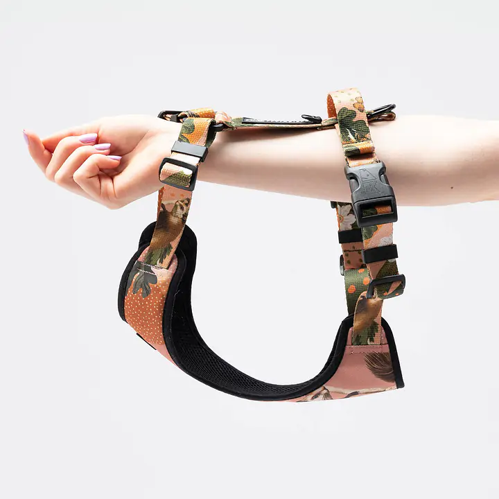 Dog or cat  pressure free harness "Play with my nuts" - Master